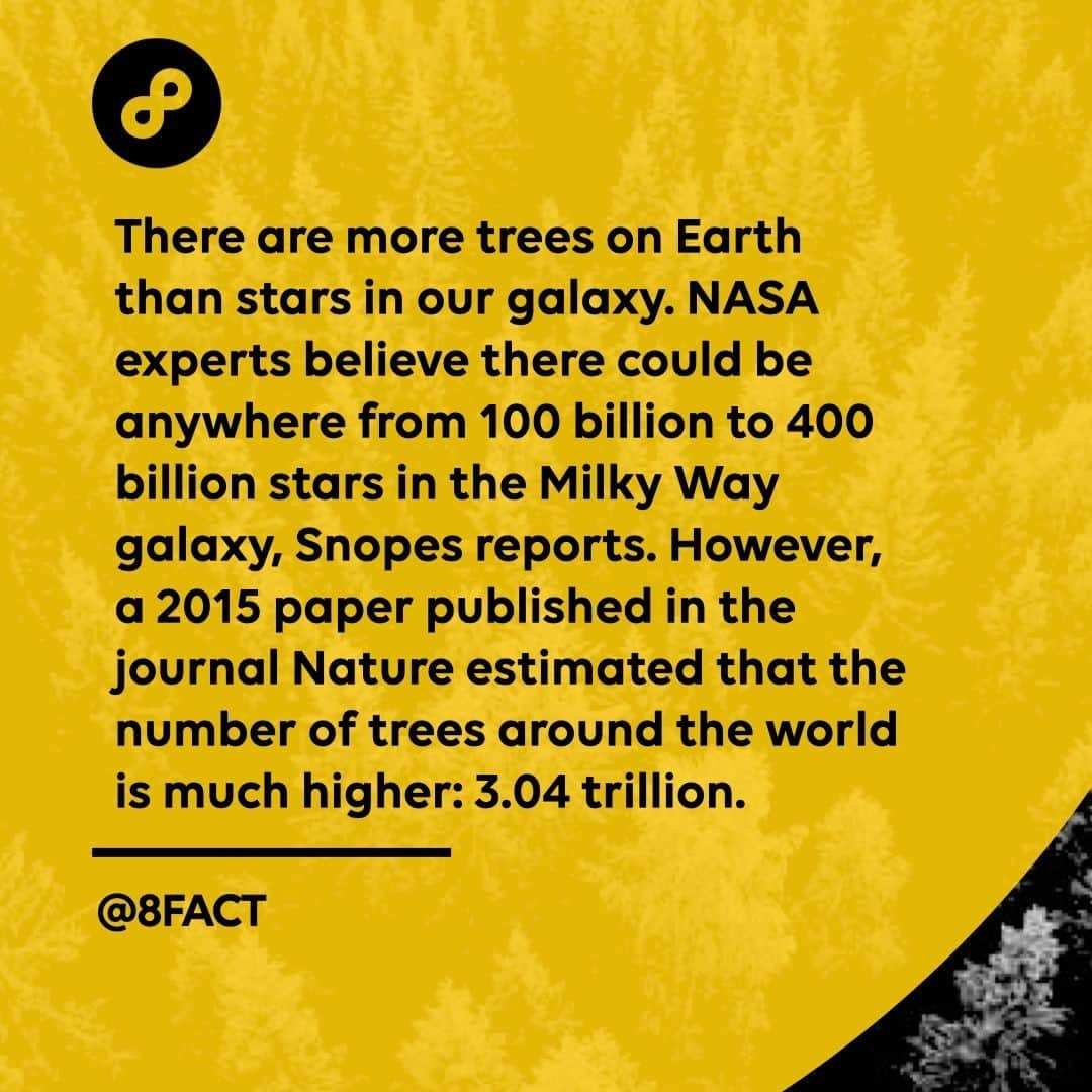 さんのインスタグラム写真 - (Instagram)「Tree-mendous.」1月6日 0時35分 - 8fact