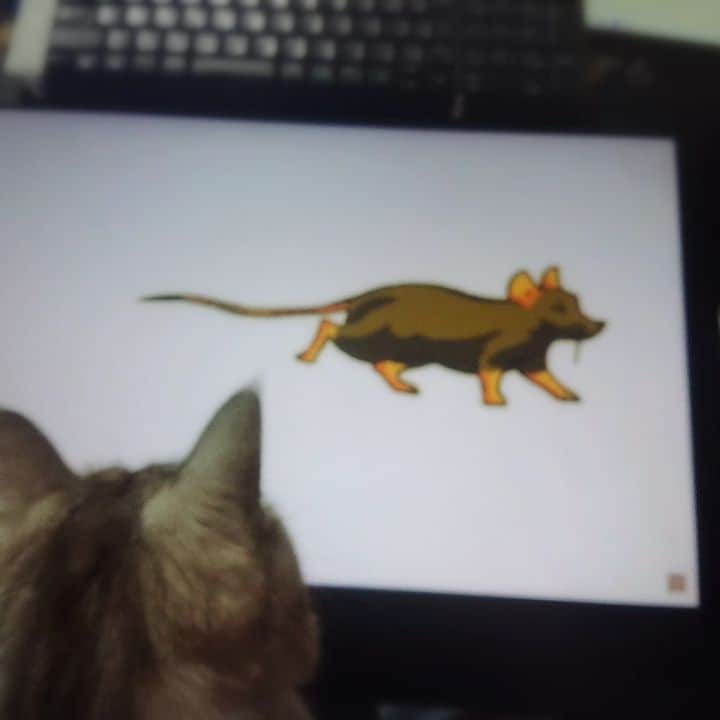 片山愁のインスタグラム
