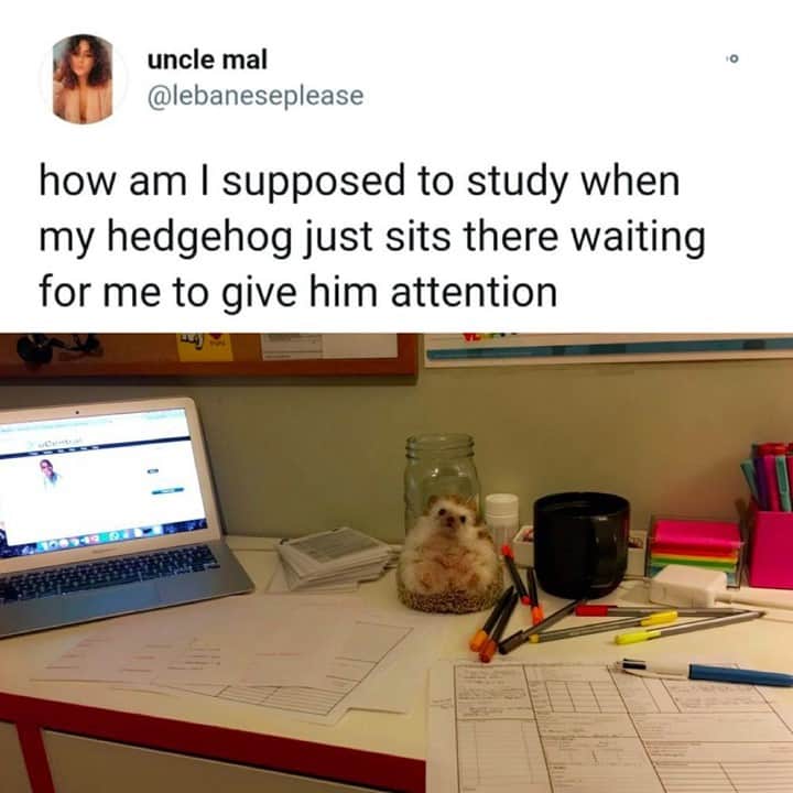 9GAGのインスタグラム