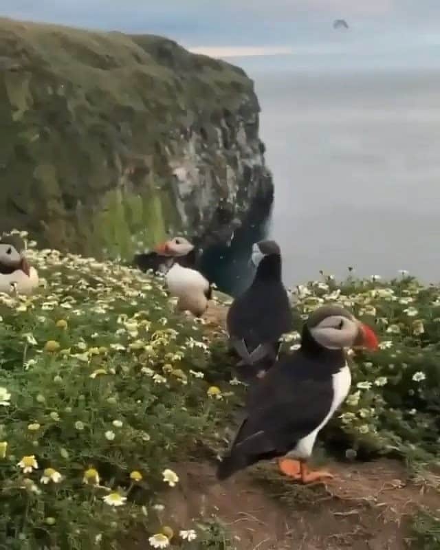 Discover Earthのインスタグラム