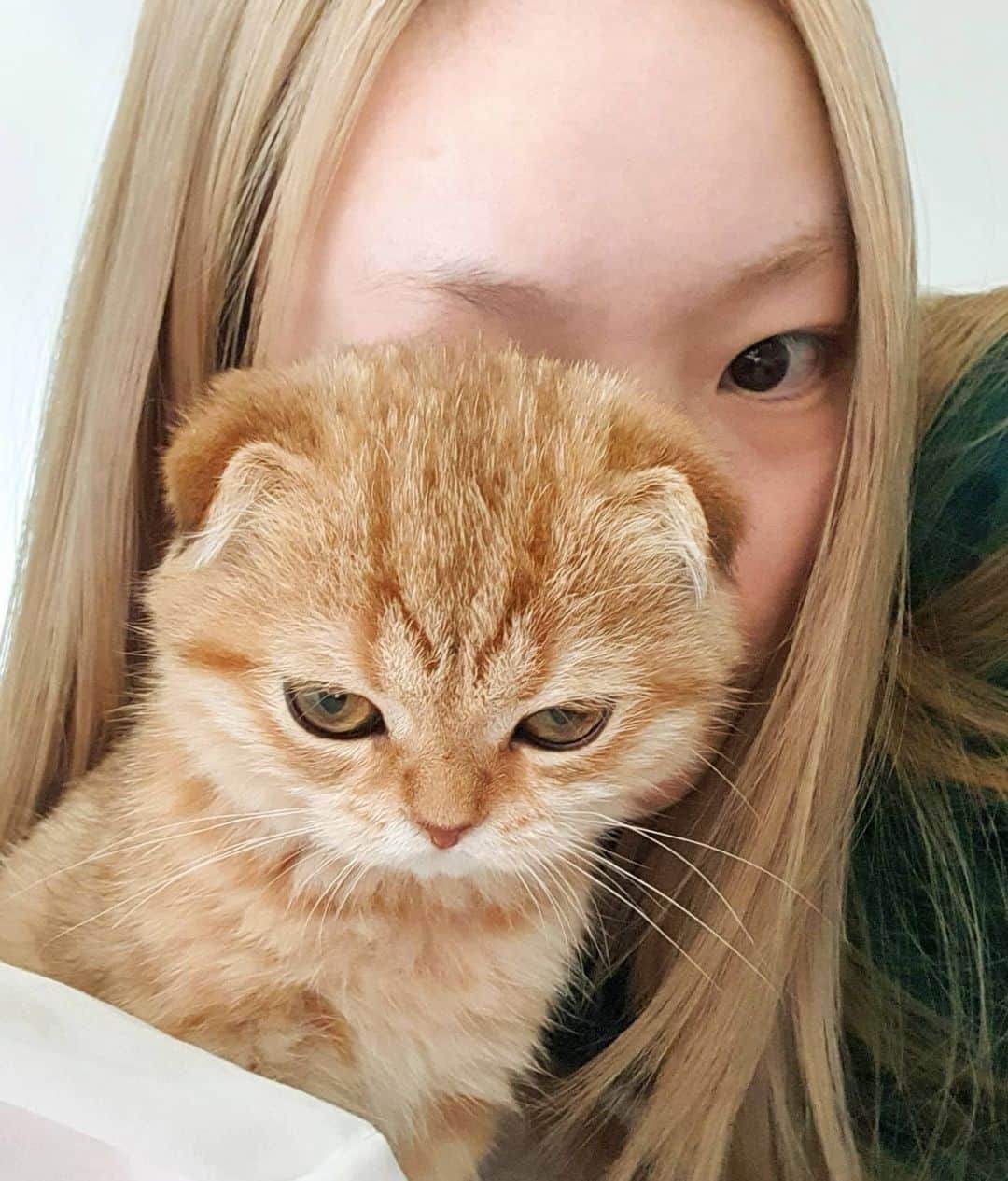 フェルナンダ・リーのインスタグラム：「This silly worm has grown a lot in the past month 🤤  But I miss Tong a lot It's been over a year since I last saw her 🥺」