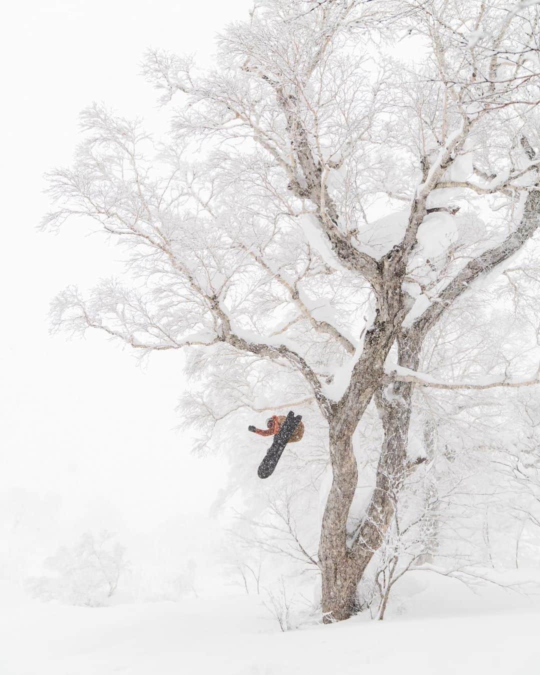クリス・バーカードのインスタグラム：「This time last year. Still trying to get my fill of Winter.. regardless of the lack of snow in California. In some ways you just learn to appreciate these trips so much more. 🇯🇵  Iwanai Japan - @wolfgangnyvelt @iwanairesort @billabong」