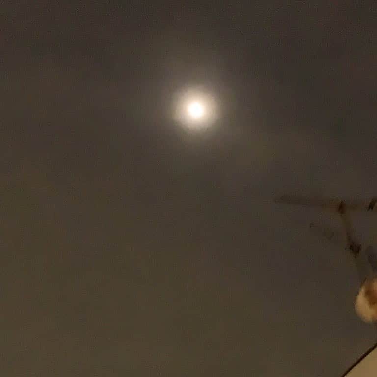 小林アナさんのインスタグラム写真 - (小林アナInstagram)「30分早朝ラン！ まだ月がうっすらでした。  #ベストボディジャパンへの道」1月6日 6時07分 - genkobiribiri