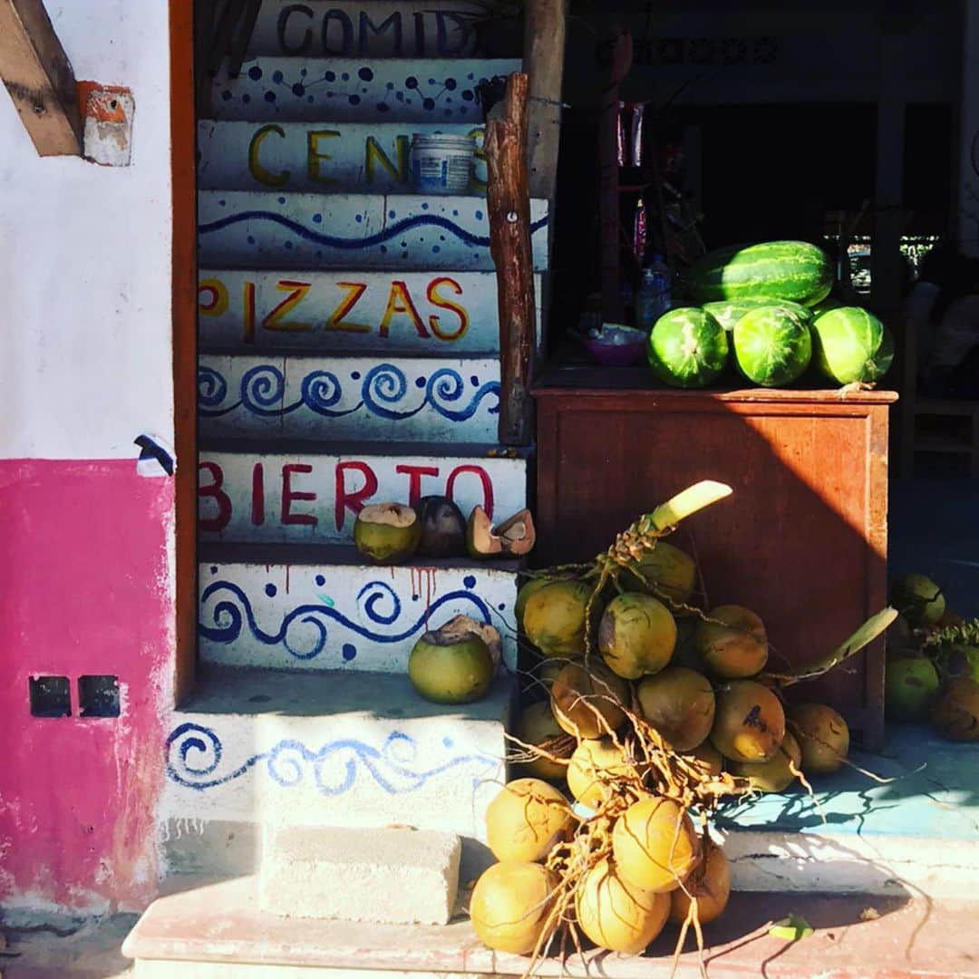 トームさんのインスタグラム写真 - (トームInstagram)「This is a 🎄 made from 🌵 and other notable green things in #Zipolite #Oaxaca」1月6日 6時08分 - tomenyc