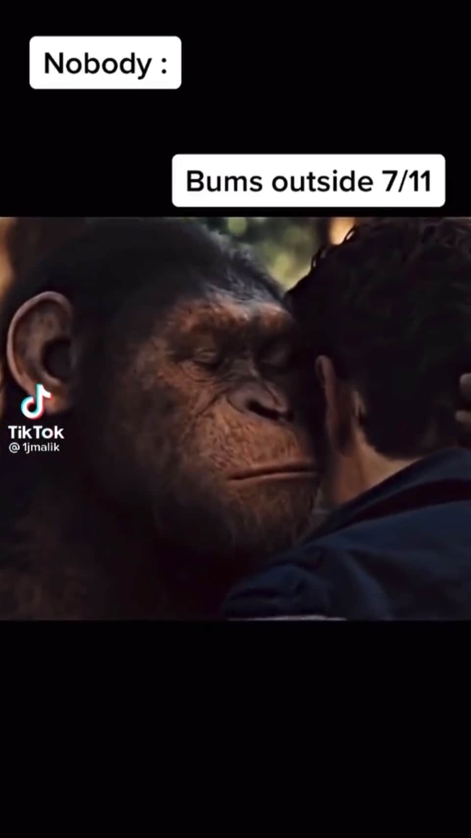 Reggie COUZのインスタグラム：「“Stimulichek” 😂💀」