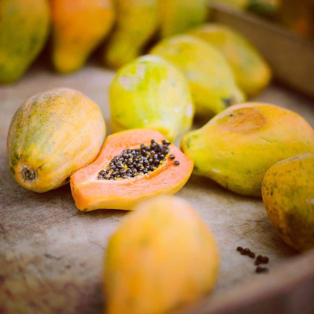 Lanikai Bath and Bodyさんのインスタグラム写真 - (Lanikai Bath and BodyInstagram)「More than a delicious island treat, papaya is loaded with vitamins and nutrients that make it great for the skin, hair and body- it’s why we use it in our products.  Papaya fruit extract makes an effective, nonabrasive exfoliant. An enzyme in the fruit, papain, helps to remove impurities and slough away dead skin cells. With regular use of the ingredient is said to help to fade acne spots, scars, and sun damage and build collagen.   Enjoy the health benefits of papaya without having to eat it every day, shower & lather on!  #papaya #mango #coconut #noworries #beauty #bathandbody #local #hawaii #paradise #goodvibes #organic #natural #coconutoil #bodywash #shower #collagen #microdermabrasion #exfoliate #seakelp #awapuhiwildginger #dermatology #antiaging」1月6日 7時23分 - lanikaibathandbody