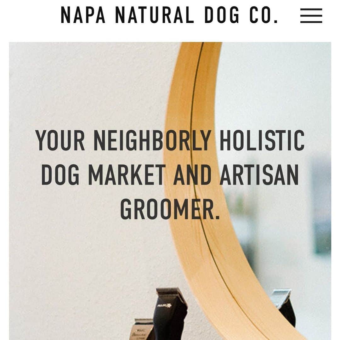 Dogs by Ginaのインスタグラム：「This year we have lots to look forward too, including, the opening of our brand new store front in downtown Vallejo! Please subscribe to our mailing list for information regarding the opening date, introductions of our newest team members and all COVID updates. Welcome to our new year!」