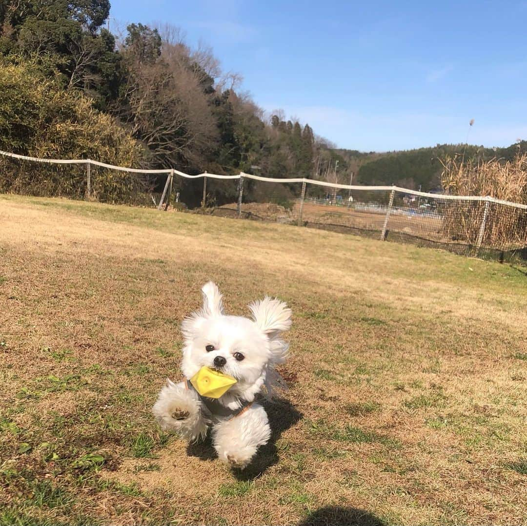 小野真弓のインスタグラム