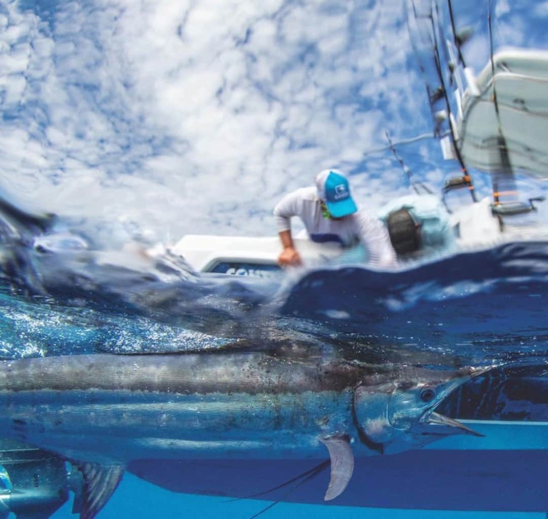 Costa Sunglassesのインスタグラム：「Boat-sized bill. 📷: @sport_fish_gallery #SeeWhatsOutThere #BornOnTheWater」