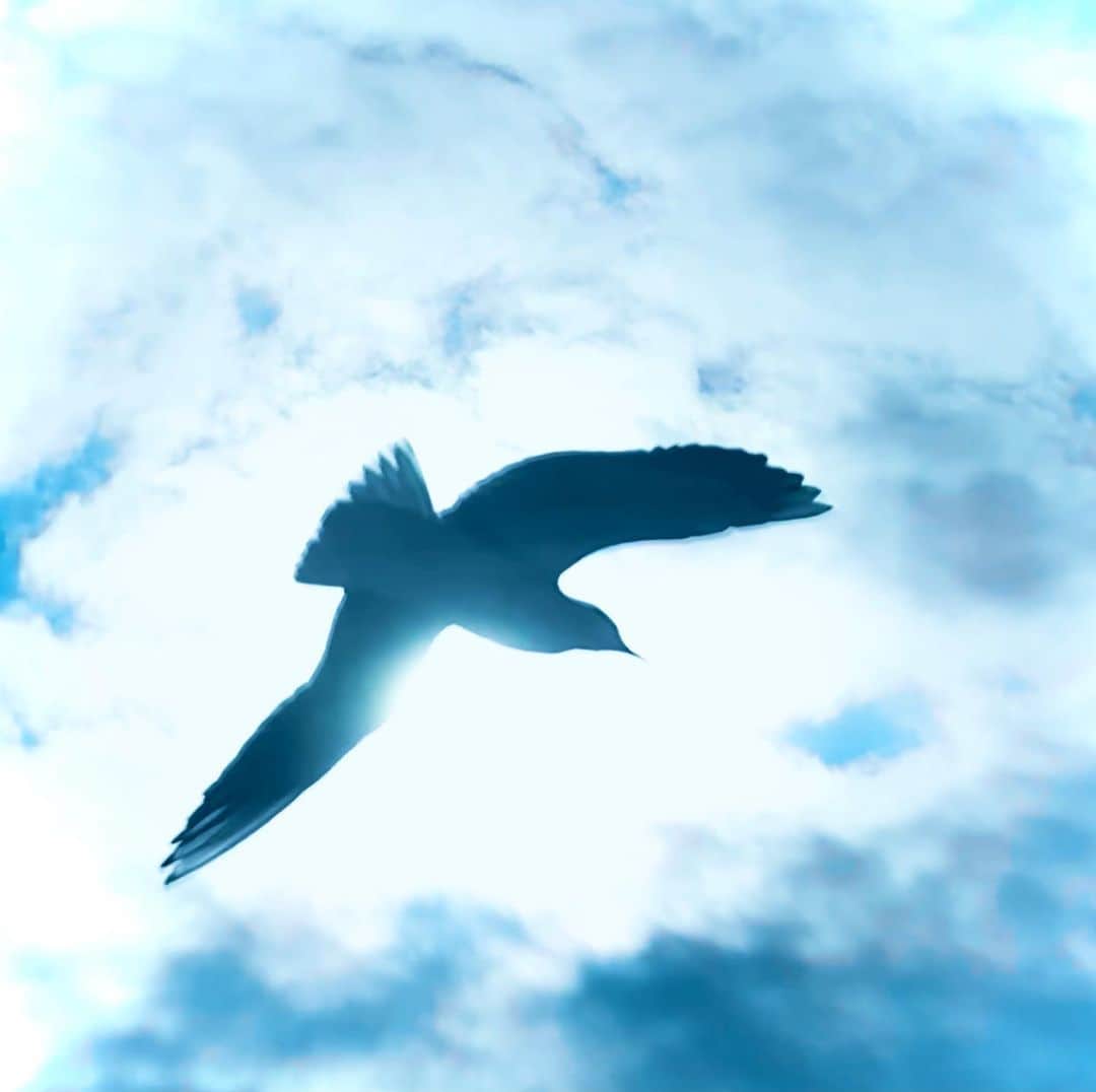 安珠さんのインスタグラム写真 - (安珠Instagram)「ご来場ありがとうございます﻿ 籠の鳥雲を慕う思いが軽くなりますように﻿ ﻿ 安珠写真展「Just Daydreaming」﻿ ライカギャラリー銀座在廊予定﻿ 1/6、10（14:00〜16:00）﻿ お気をつけていらしてください  ﻿ https://store.leica-camera.jp/event/event_20201005﻿ #安珠写真家 #anjuphotographer #leica」1月6日 8時11分 - anjuphotographer