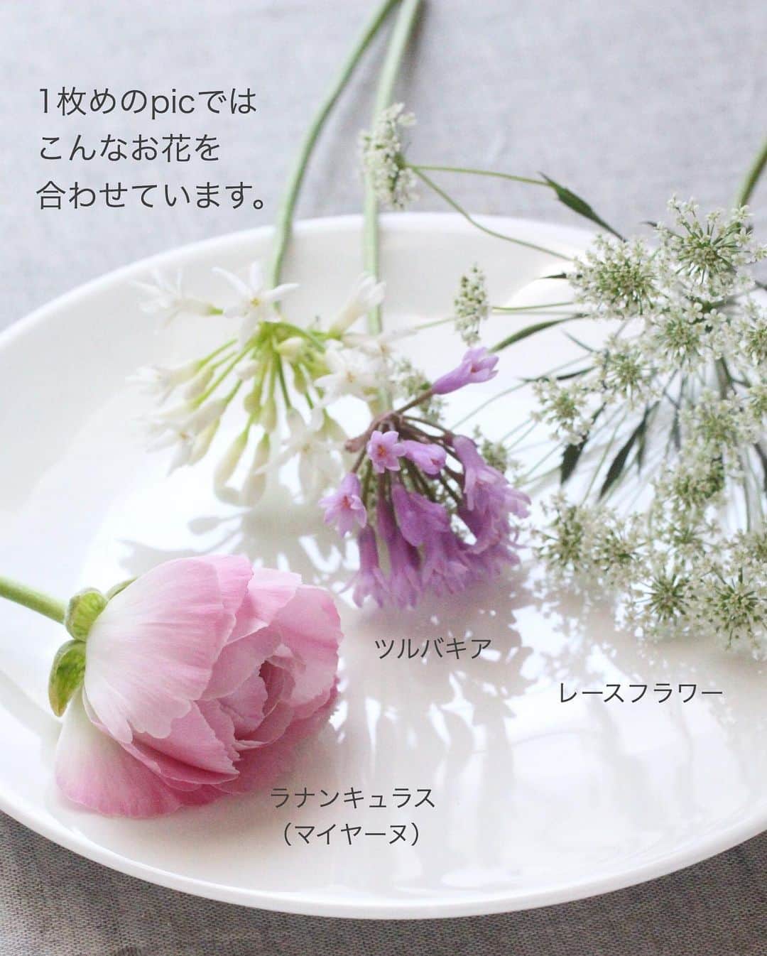 雑誌『花時間』さんのインスタグラム写真 - (雑誌『花時間』Instagram)「おはようございます。ラナンキュラスを買うとき、どんな花を選んでいますか？﻿ ﻿ 色や咲き方はさて置き、﻿ ﻿ 「花がゆるみかけた」花を﻿ 選ぶのがコツです。﻿ ﻿ ﻿花は、つぼみを開くとき、 とても大きなエネルギーを消費。﻿ ﻿ 花びらが多いラナンちゃんともなれば、﻿ 開花に必要な奮発力はさぞや…ですよね。﻿ ﻿ たいていは、﻿ あとあとちゃんと咲くように﻿ よいタイミングで出荷されますが、﻿ ﻿ もしも硬めのお花に出会ってしまうと…﻿ 満開になる前に﻿ 茎が弱り、最後まで咲ききらない こともあるんです😭﻿ ﻿ ラナンちゃんは、ゆるみかけ！﻿ ﻿ 週も半ば。少しお疲れの方はお花屋さんを覗いてくださいね。﻿ ﻿ では、本日も元気smile😊😊😊で頑張りましょう！ by  ピーターパン  #flowers #flowerslovers #flowerstagram #flowerarrangement  #花時間 #花時間2021  #花好き #花藝 #花好きな人と繋がりたい #花が好きな人と繋がりたい #花のある生活 #花のある暮らし #花を飾る #花を飾る生活  #ラナンキュラス  #ラナンキュラス大好き  #レースフラワー  #ピンクの花  #かわいい花 #きれいな花 #ビタミンf #花が好き #癒やしの花  #花屋さんへ行こう ﻿ ﻿」1月6日 8時20分 - hanajikan_magazine