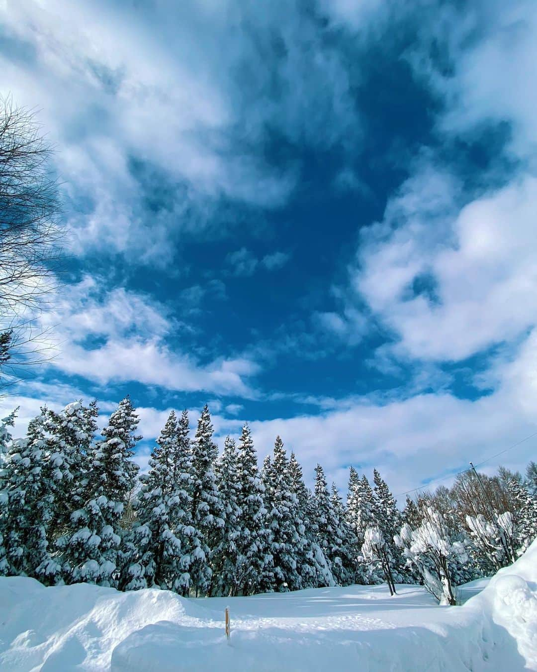 ジュリア・ミナトヤさんのインスタグラム写真 - (ジュリア・ミナトヤInstagram)「𝐺𝑜𝑜𝑑 𝑀𝑜𝑟𝑛𝑖𝑛𝑔☃️☀️﻿ ﻿ ﻿ ﻿ ﻿ ﻿ ﻿ ﻿ ﻿ ﻿ ﻿ #☃️#snow#goodmorning#sun#sunny#love#thanks#smile#family」1月6日 8時56分 - julia.minatoya