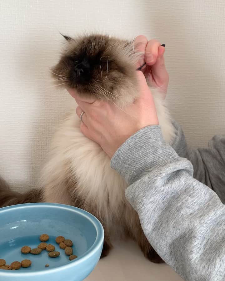 plumeのインスタグラム