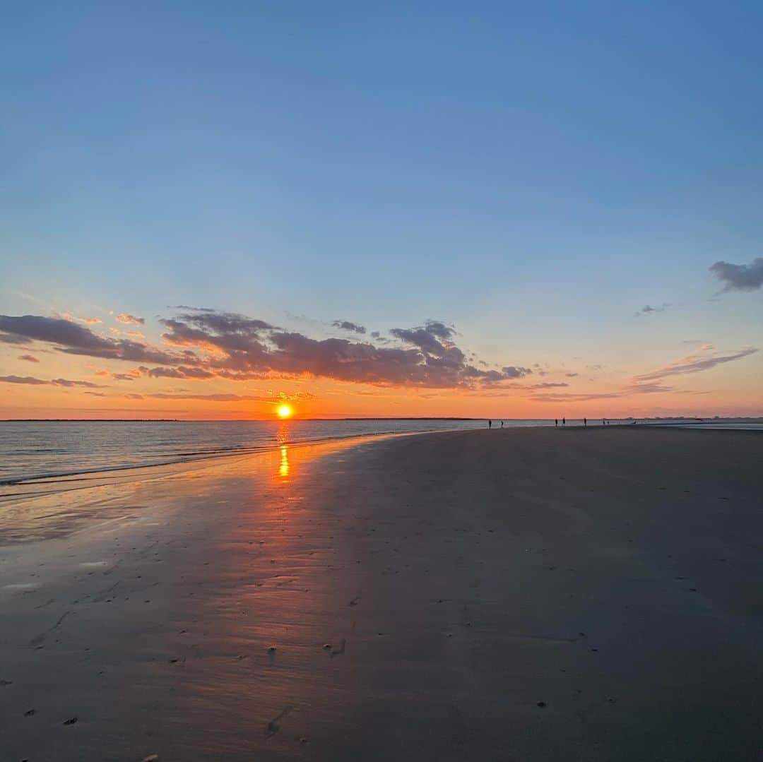 トーマス・ギブソンさんのインスタグラム写真 - (トーマス・ギブソンInstagram)「the dolphins agree with the rat that tonight’s sunset was awesome :)」1月6日 10時00分 - thomasgibsonofficial