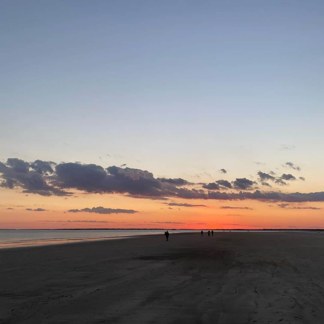 トーマス・ギブソンさんのインスタグラム写真 - (トーマス・ギブソンInstagram)「the dolphins agree with the rat that tonight’s sunset was awesome :)」1月6日 10時00分 - thomasgibsonofficial