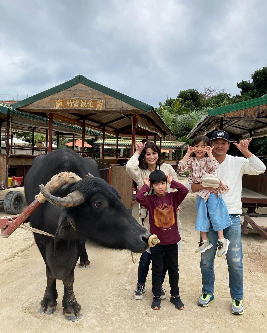 大西宏明のインスタグラム：「少しの間 旅行日記📘  小浜島ー石垣島ー竹富島🛳  ブラブラ水牛🐃散歩🛷  #家族旅行 #離島巡り #竹富島 #水牛車  #ノンビリ #散歩 #小浜島 #石垣島 #思い出グラム  #家族旅行  #沖縄旅行  #水牛 #まさかの #北海道 #出身 #驚き #新事実 #島の暖かみ #ほっこり #癒やし #喧騒からの脱出  #充電たっぷり  #smile #ほなっ！！」