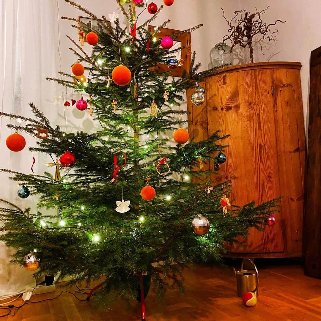 チップ＆ペッパーのインスタグラム：「🎄Just a few more days left the holiday is over. We hope you enjoy every minute of it and we wish all of you a happy new year! 🥳」