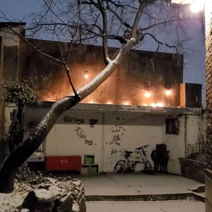シン・ゴウンのインスタグラム：「땅콩씨도 영락없눈 강아지여따.  🐶🐾❄️☃️」