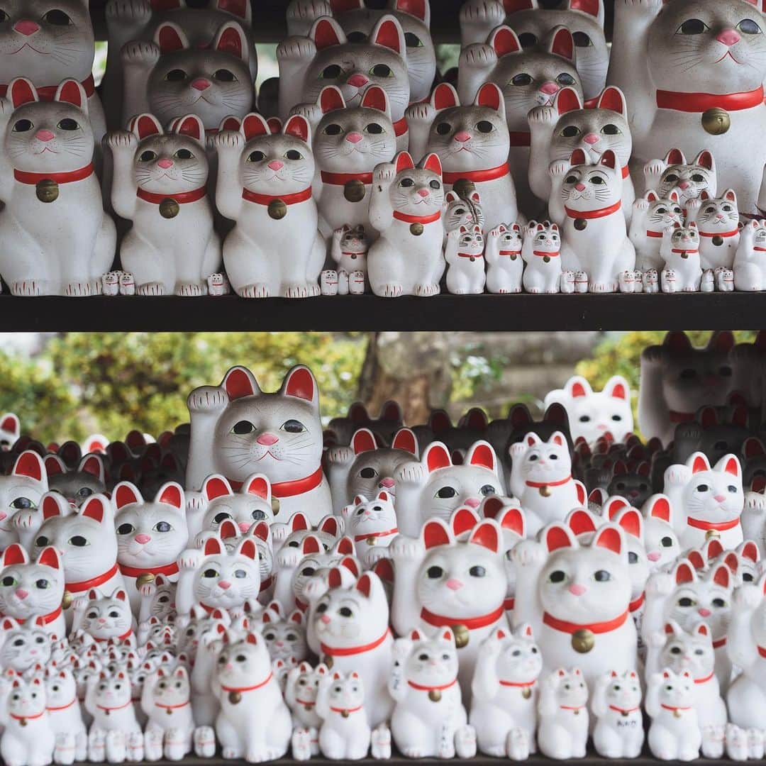 市川渚さんのインスタグラム写真 - (市川渚Instagram)「例年は友人宅での新年会ついでにみんなでお参りしに行ってたのだけれど、今年はこんな状況なのでひとりでササっと。﻿ ﻿ いつにも増して猫さまの数が多かった気がする🐈‍⬛ 去年わたしを見守ってくれた猫さまは増設されてた台の方に納めてきたよ（1枚目右から2体目）﻿ ﻿ ﻿ Gotokuji Temple is said to be the origin of Maneki Neko. In past years, I went to visit the temple with my friends at a New Year's party, but this year, I went alone to visit there quickly because of the situation.﻿ ﻿ I felt like there were more cats than ever before. The second Maneki Neko from the right in the first picture is that watched over me last year.﻿」1月6日 19時42分 - nagiko