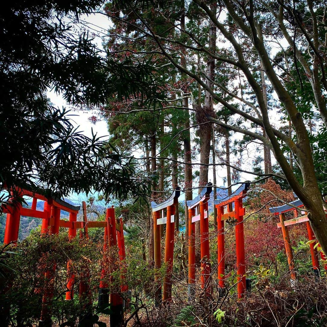 DAISHI DANCEさんのインスタグラム写真 - (DAISHI DANCEInstagram)「#伏見白赤稲荷社 #横須賀 #鳥居 #TORii #POWERSPOT #パワースポット  鳥居を探して 2月リリース曲のジャケット写真の撮影に来ました⛩」1月6日 20時28分 - daishidance666