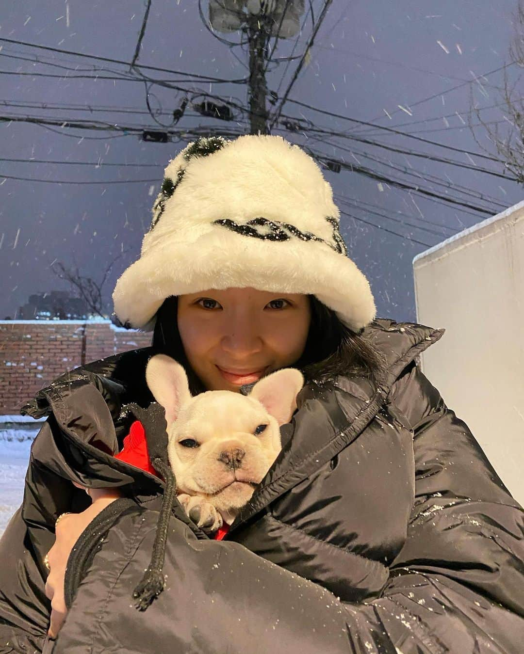 アイリーン・キムさんのインスタグラム写真 - (アイリーン・キムInstagram)「Bobo’s first snow 🥺⛄️ (Biggie is at school)」1月6日 20時32分 - ireneisgood