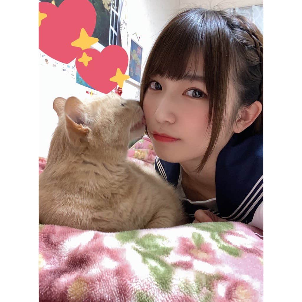 村上りいなさんのインスタグラム写真 - (村上りいなInstagram)「🥰🥰  #猫のいる暮らし #猫 #cat #かわいい　#cute #love #family」1月6日 20時38分 - riina_murakami