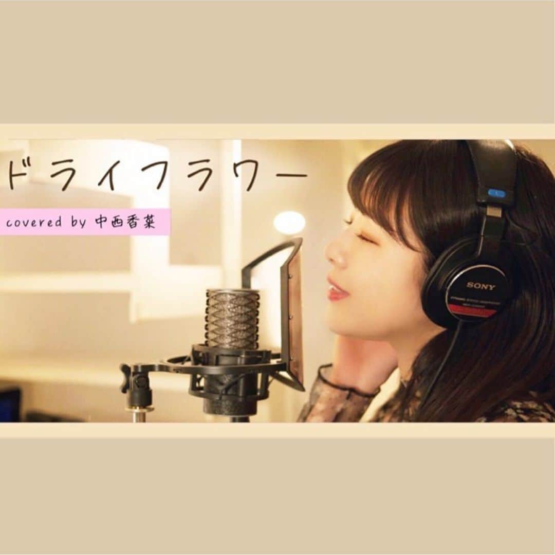 中西香菜のインスタグラム：「﻿ ﻿ ﻿ ﻿ ﻿ ・﻿ ♡﻿ ・﻿ YouTubeちゃんねる﻿ 【なかにしはうす】﻿ ドライフラワー歌ってみました🌻﻿ ・﻿ YouTubeみてね🥺🥺🥺﻿ チャンネル登録ももしよければ﻿ よろしくお願いします🥺🥺🥺🌻﻿ ・﻿ ♡﻿ ・﻿ ♡﻿ ﻿ ﻿ ﻿ ﻿ #YouTube﻿ #みてね！﻿ #なかにしはうす﻿ #ドライフラワー﻿ #歌ってみた﻿ #中西香菜」