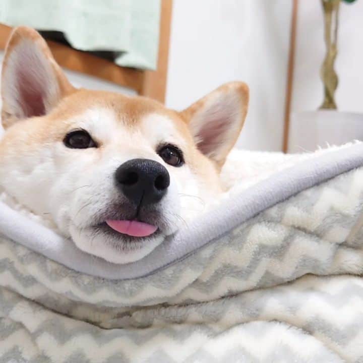 ちゃみのインスタグラム