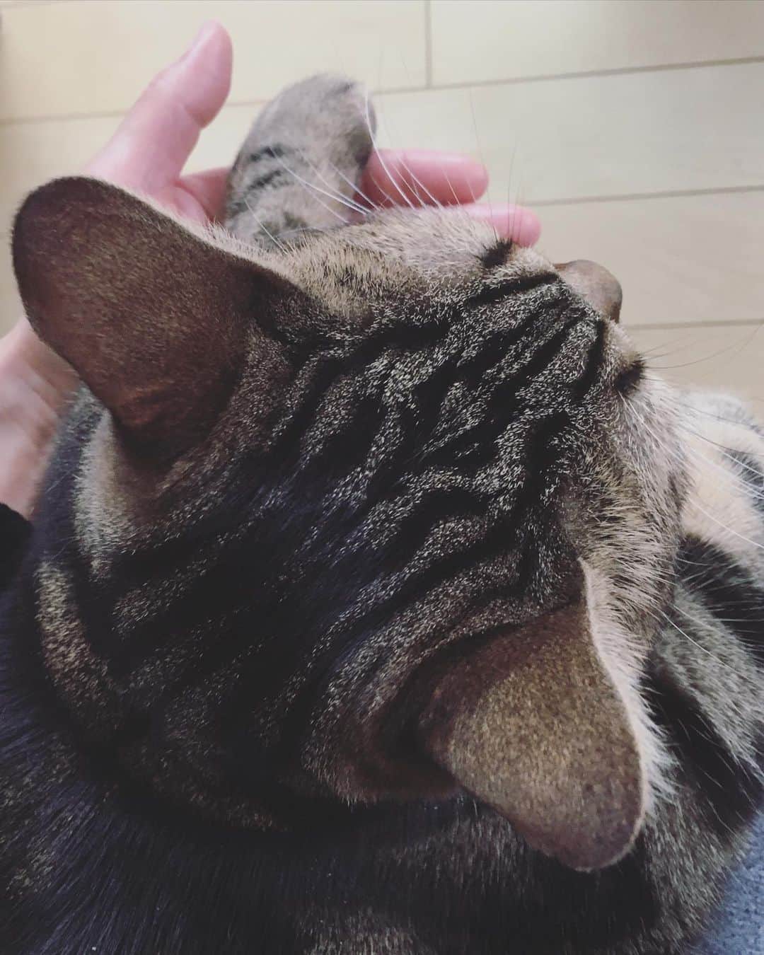 ありす & まりあのインスタグラム：「My Everything ❤️ みんなが幸せでいられますように。」