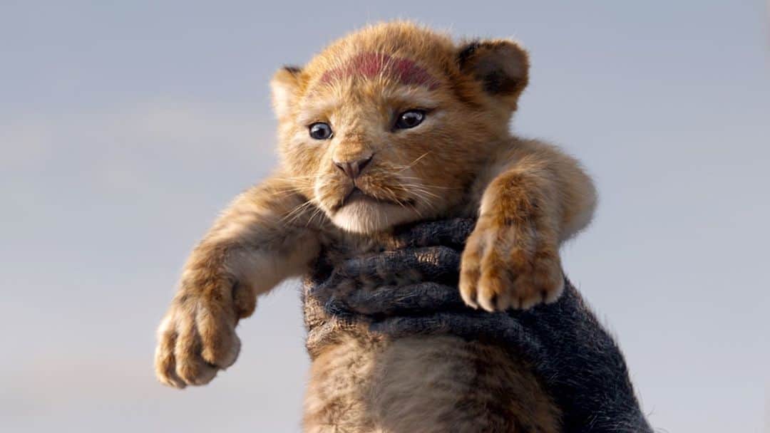 アメリカン・ブロードキャスティング・カンパニーのインスタグラム：「Missing #LionKing already? Hakuna Matata! Stream it now on #DisneyPlus. #TheWonderfulWorldofDisney」