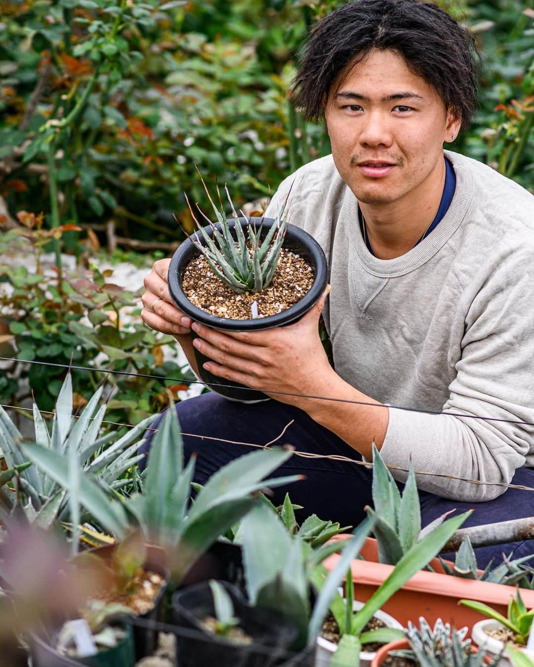 長迫吉拓さんのインスタグラム写真 - (長迫吉拓Instagram)「How much I’m into these type of plants😍 time goes very quick when I’m looking at them😅   Enjoyed at home for 3weeks.  I just left home now on the way to Osaka-Tokyo and then back to Swiss all the way to the Olympics!  #agave #plants #agaveplant #succulents #green #agavelove #agaveholic #アガベ #植物 #緑 #観葉植物 #アガベのある暮らし #アガベチタノタ #多肉植物」1月6日 12時07分 - yoshi993nagasako