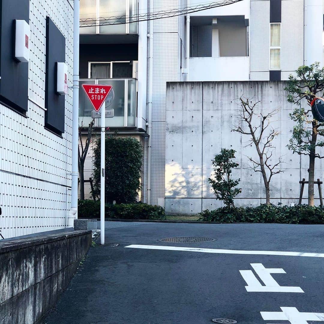 岡田育のインスタグラム：「fun fact; only Roppongi goes bilingual on road sign. Drive safe, foreigners. *Later I found them in many other places. Probably it’s just new design. . 🔻 = 🛑  . 土地柄。不慣れな外国人の交通事故が多発したんだろうな……と思って見てたら、中央区でも結構あちこち架け変わってる！？ どういう基準なんだろ。五輪的なアレか。 . #roppongi #六本木 #止まれ」