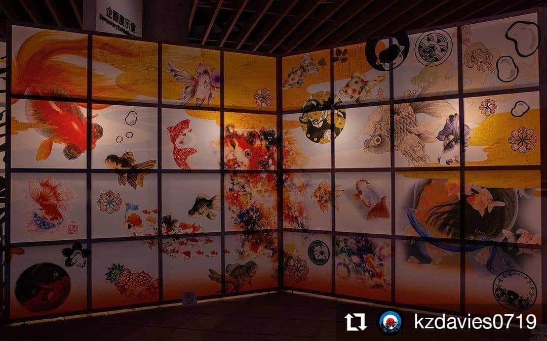 カメラのキタムラのインスタグラム