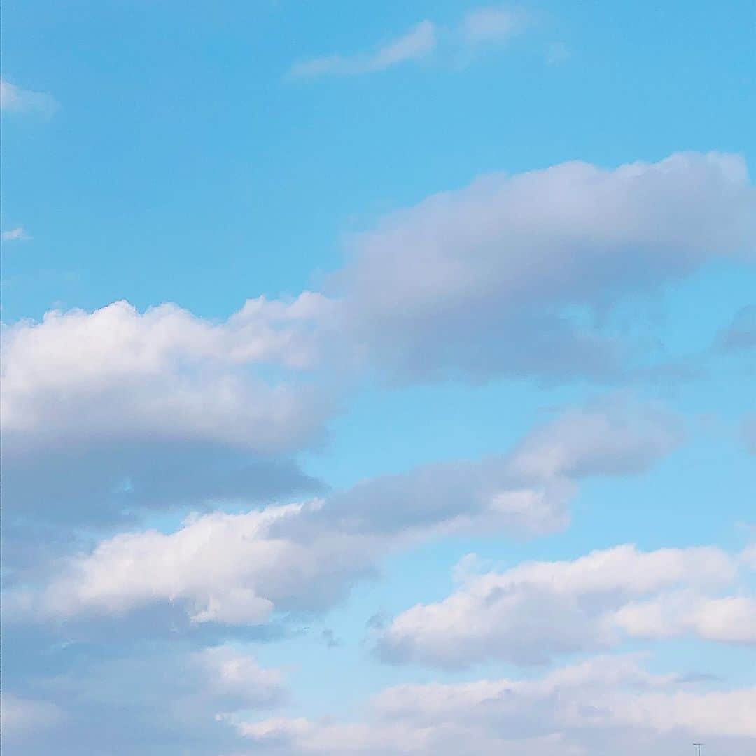 鈴木芽生菜さんのインスタグラム写真 - (鈴木芽生菜Instagram)「お空大好き人間なので良いお空を見つけると撮ってしまいます☁️  #空 #雲 #☁」1月6日 13時29分 - uugirl_new_meina