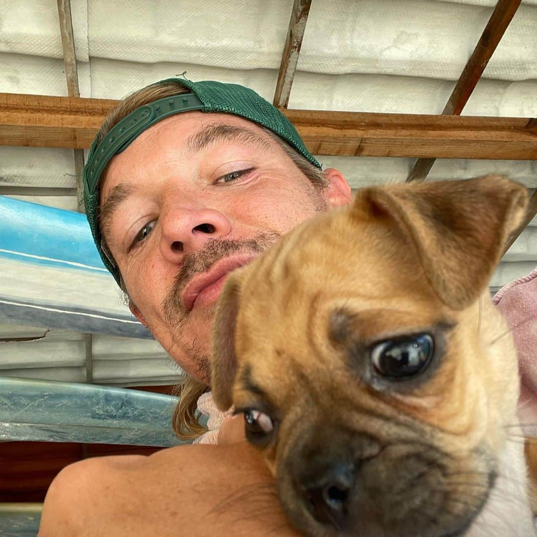 ディプロさんのインスタグラム写真 - (ディプロInstagram)「Got this puppy in Mexico I named him Jefe」1月6日 13時43分 - diplo