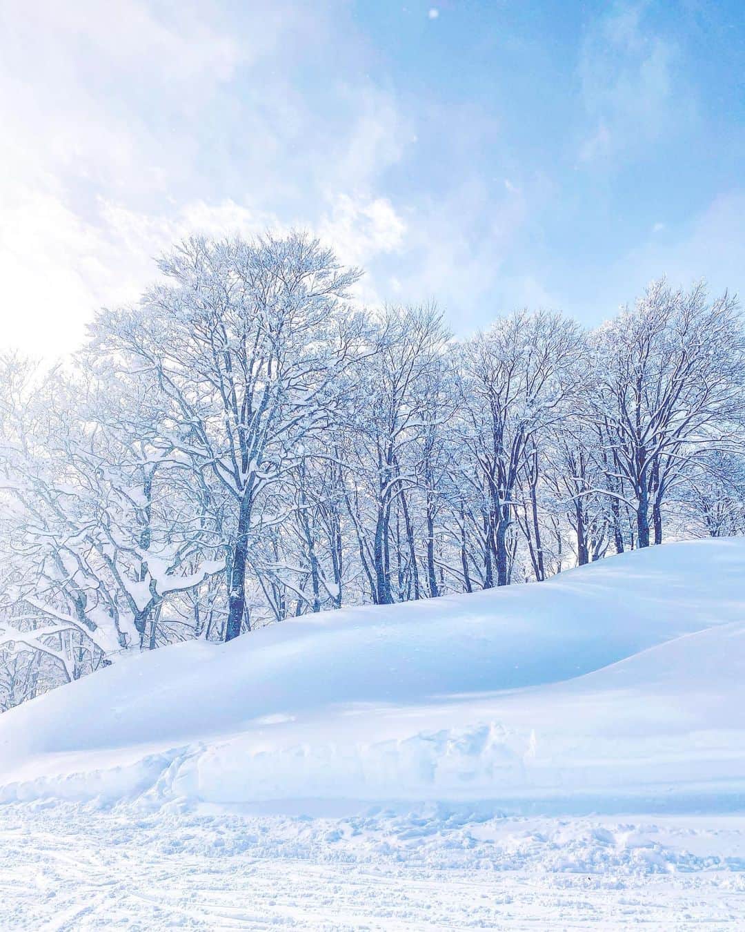 松本ゆんさんのインスタグラム写真 - (松本ゆんInstagram)「☃️❄️☃️❄️☃️❄️ * #湯沢高原 山頂からの景色をお届け🌈✨ 雪景色って綺麗だよね💕💕💕❤️ ➡︎都会では絶対見れない景色…｡ﾟ(ﾟ´ω`ﾟ)ﾟ｡ #スキー  #スキー女子 #ゲレンデ  #スノボ #スノボ女子 #ski #skiing #japan #travel #travelphotography #japow #winter #iphoneonly #스키 #스키장 #좋아요 #팔로우환영 #여행 #여행스타그램 #셀스타그램 #湯沢高原 #新潟 #niigata #yuzawa #スキー場 #雪山 #湯沢高原スキー場」1月6日 13時50分 - m_y0729