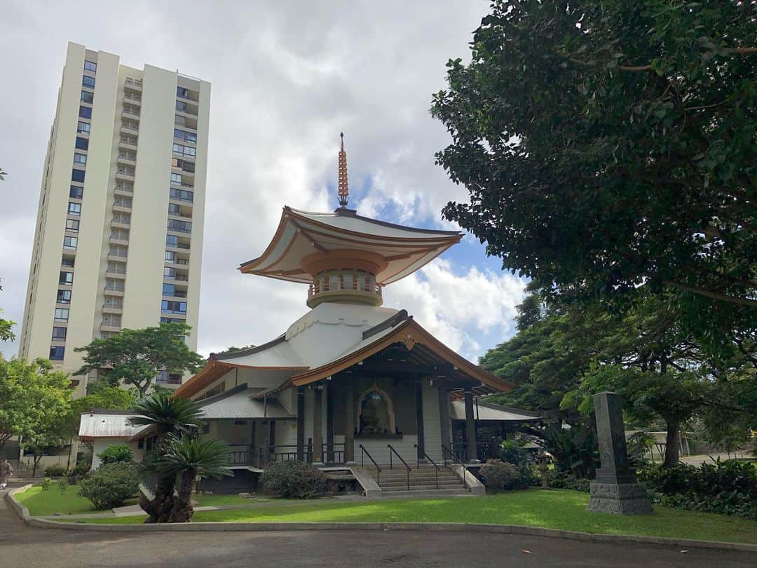 Honolulu Myohoji Missionさんのインスタグラム写真 - (Honolulu Myohoji MissionInstagram)「✏️ 2021年も、法華経勉強会を開催いたします。  ＜オンライン法華経講座＞ 今をいきいきと幸せに生きるヒントが詰まった法華経の教えを、楽しく教養を深めるオンライン講座を開催しています。  日時：毎月第3月曜日 午後6時〜 講師：日蓮宗ホノルル妙法寺 住職 山村尚正   ご希望の方はホノルル妙法寺までご連絡下さい🙏🏼  * * * #ハワイ #ハワイ好きな人と繋がりたい  #ハワイだいすき #ハワイ好き #ハワイに恋して #ハワイ大好き #ハワイ生活 #ハワイ行きたい #ハワイ暮らし #オアフ島 #ホノルル妙法寺　#思い出#meditation #瞑想 #honolulumyohoji #honolulumyohojimission #御朱印女子 #開運 #穴場 #パワースポット #hawaii #hawaiilife #hawaiian #luckywelivehawaii #hawaiiliving #hawaiistyle #hawaiivacation」1月6日 14時09分 - honolulumyohoji