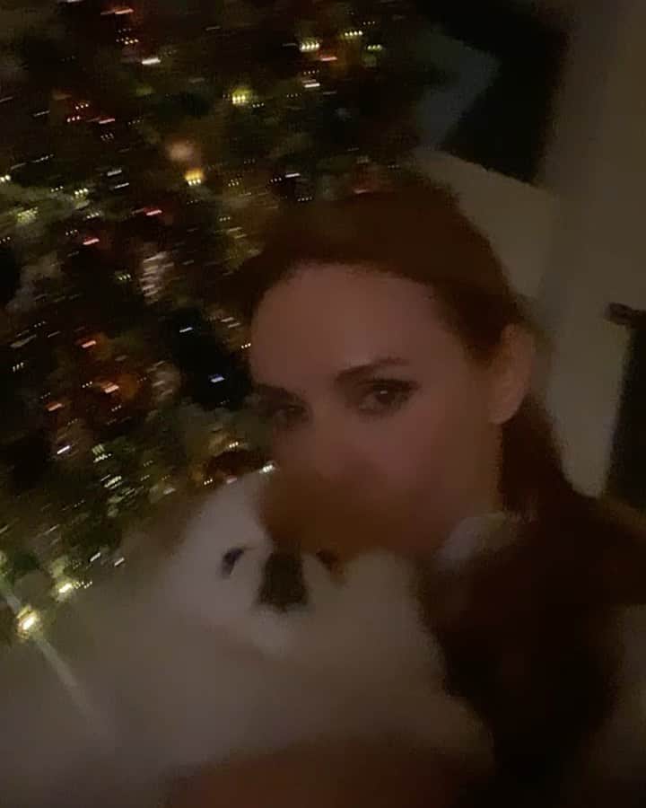 のインスタグラム：「Надюшина любовь!! 🐶🐶🐶 #мишель #сладость #другчеловека #любимица」