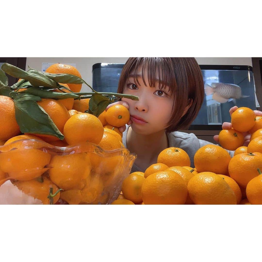 須田スミレのインスタグラム：「🍊 すみみかん。 と、後ろにアロワナ。 YouTube見てくれると嬉しいです☺️ ひそひそと今年もやっていきます♪ ・ ・ #YouTube  #スミレモンのすみにはおけない」