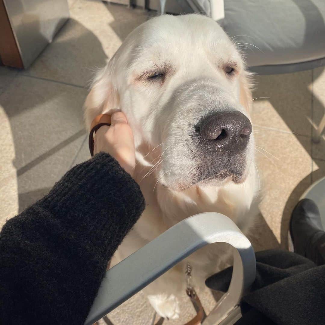 のインスタグラム：「😌☀️☺️新年日向ぼっこ」