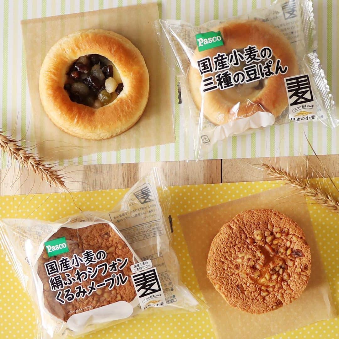 Pasco/敷島製パン株式会社のインスタグラム：「【1月の新商品】2021年も国産小麦シリーズのおいしさをみなさまに🤗 　　 「国産小麦のおいしさをもっとみなさまに知っていただきたい」 「日本の食料自給率の向上に貢献したい」 そんな想いから、おいしさや品質にこだわりをもってつくられてきた国産小麦シリーズ🍞✨ 　 その#国産小麦シリーズ に1月から仲間入りしたのが、素朴なおいしさの#国産小麦の三種の豆ぱん と、食感にこだわった#国産小麦の絹ふわシフォン くるみメープル です😊 　 #国産小麦の三種の豆ぱん は、味わいの異なる三種の豆が、口の中でコロコロ、ほっくり。 上品な甘さとコクのある《小豆》と、ほっくりとした食べごたえの《白手亡豆》、さっぱりとした甘さの《うぐいす豆》のバランスが絶妙です👍 国産小麦の小麦粉をつかったふんわりとしたパンと、なめらかなカスタードクリームが、三種の豆のおいしさをさらに引き立てています😆 　 もうひとつの新商品#国産小麦の絹ふわシフォン くるみメープル は、ふんわりと軽く、口どけの良さにこだわったシフォンケーキ💕#国産小麦の小麦粉 を100％使用し、メープルの風味と甘さがふわっと口の中に広がります✨表面にトッピングしたくるみもいいアクセントになっていますよ😊 　 ほっこりしたいティータイムにぜひどうぞ☕ 　 商品の詳細はプロフィール(@pasco.jp)のURLから🍀  #Pasco #パスコ #国産小麦 #国産小麦シリーズ #国産小麦の3種の豆ぱん #小豆 #白手亡豆 #うぐいす豆 #豆パン #国産小麦の絹ふわシフォン #くるみメープル #シフォン #新商品 #菓子パン」