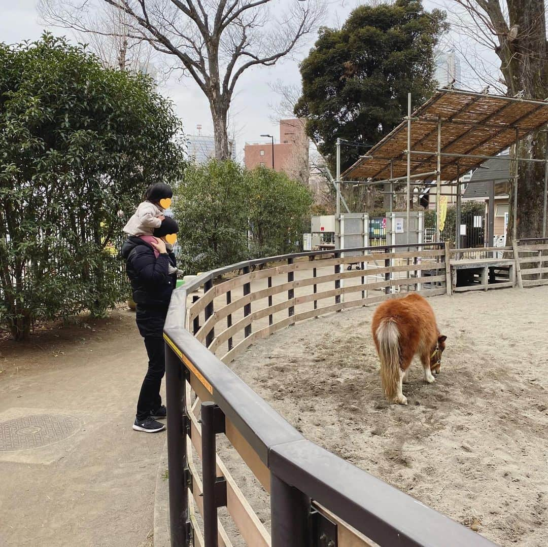 徳重杏奈のインスタグラム