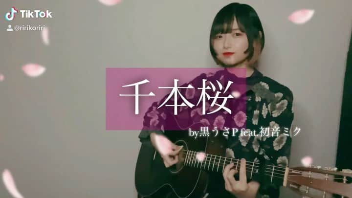 のインスタグラム：「『千本桜』 大胆不敵に歌ってしまった。 ・ ・  【1/8(金)22:00~ ボカロ曲カバー祭り】 ・ セトリ事前公開の弾き語りLINELIVEを行います🎉 今回はボカロソング！ ・ 1.カゲロウデイズ 2.マトリョシカ 3.妄想鑑賞代償連盟 4.からくりピエロ 5.Dear 6.千本桜  ・ を歌うよ楽しみ…ﾜｸﾜｸ ・ ボカロに馴染みがない！という方も是非！ LINELIVEのリンクはRIRIKOのプロフィールから🔗 ・ ・ #千本桜 #黒うさP #ボカロ歌ってみた #ボカロ #VOCALOID #ボーカロイド #弾き語り #歌ってみた #RIRIKO #cover #カバー #ボカロ好き #vocaloidia #歌ってみた動画 #弾き語ってみた #taylorguitars #ひし形ボブ #デザインカラー #チークカラー」