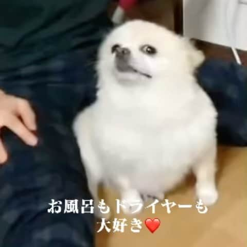 畑喜子のインスタグラム