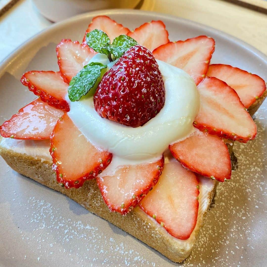 ウルフのグルメインスタ