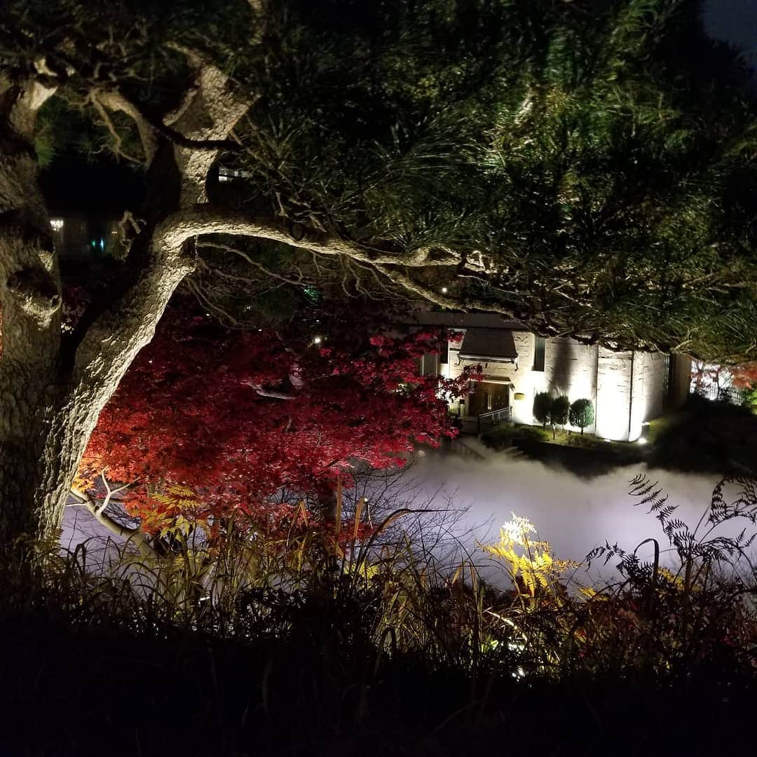 宇月田麻裕さんのインスタグラム写真 - (宇月田麻裕Instagram)「椿山荘さん　フルーツの盛り合わせ　美味しかった🎵　ステーキ最高！　夜の幻想的な風景　#シェフありがとうございました #椿山荘の大雲海 #夜の大雲海」1月6日 17時07分 - mahiro_utsukita