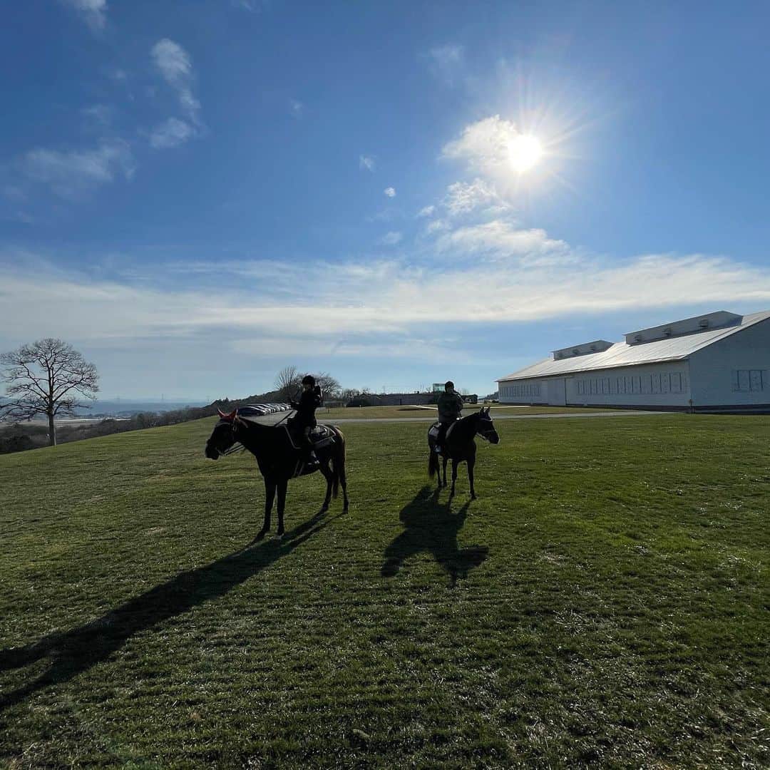 水野里砂のインスタグラム：「volt&sunny☀️ なんでこんなに神々しいのだろう。 早くまた会いたいな〜  #horses」