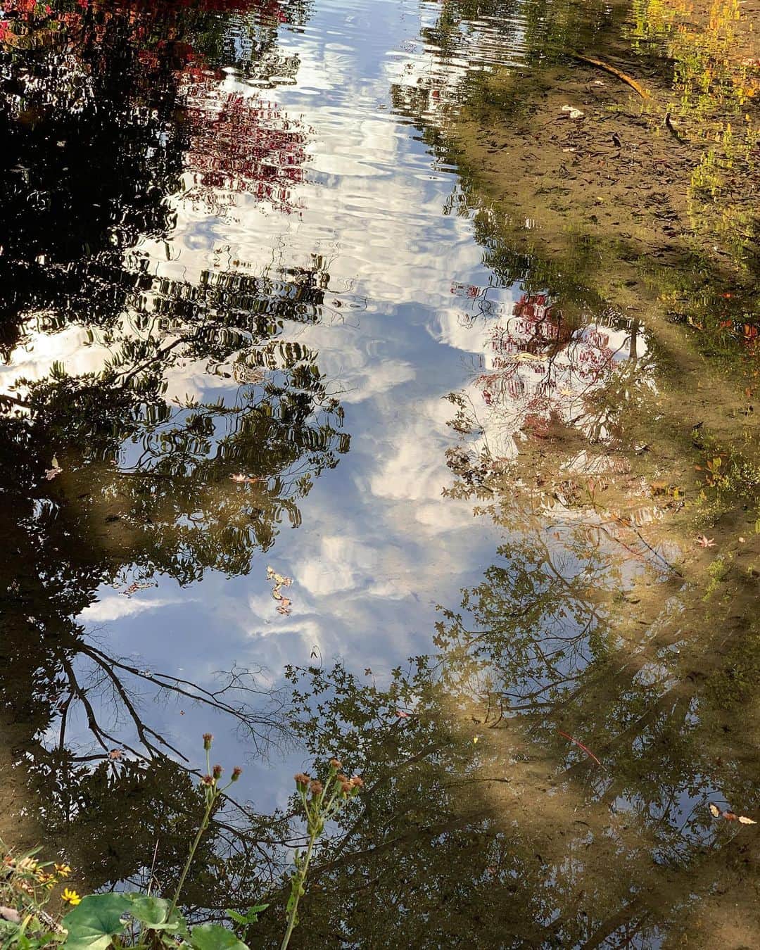 RUBYのインスタグラム：「Mirror mirror 🪞   #伊勢神宮 #伊勢市 #三重県」