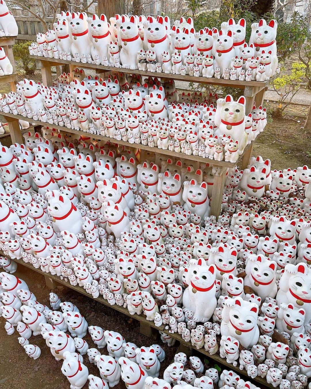 みきママさんのインスタグラム写真 - (みきママInstagram)「【豪徳寺にお参りに行きました〜！！】  近所の神社に一年のお願いをしに来ました〜❗️今年もどうぞよろしくお願いします🙇‍♀️🙇‍♀️🙇‍♀️  それから、おみくじをひきました✨旦那とれんちびが大吉で、私と杏ちゃんは吉でした❗️  はる兄はね、「神には頼らない主義。」ってさ。来ませんでした。  神様、はる兄に天罰を与えてやってください。  #みきママ　#参拝　#豪徳寺　#おみくじ」1月6日 18時01分 - mikimama_official