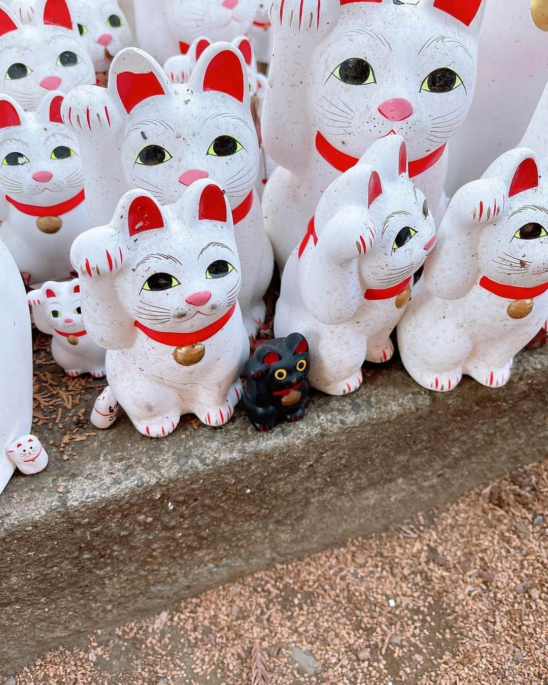 みきママさんのインスタグラム写真 - (みきママInstagram)「【豪徳寺にお参りに行きました〜！！】  近所の神社に一年のお願いをしに来ました〜❗️今年もどうぞよろしくお願いします🙇‍♀️🙇‍♀️🙇‍♀️  それから、おみくじをひきました✨旦那とれんちびが大吉で、私と杏ちゃんは吉でした❗️  はる兄はね、「神には頼らない主義。」ってさ。来ませんでした。  神様、はる兄に天罰を与えてやってください。  #みきママ　#参拝　#豪徳寺　#おみくじ」1月6日 18時01分 - mikimama_official